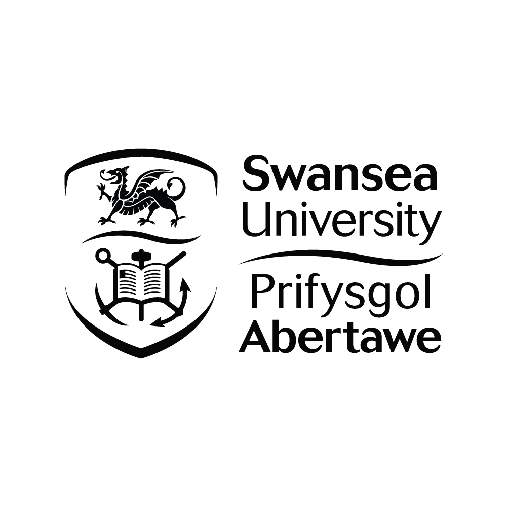 Free High-Quality Swansea University Logo Png for Creative Design