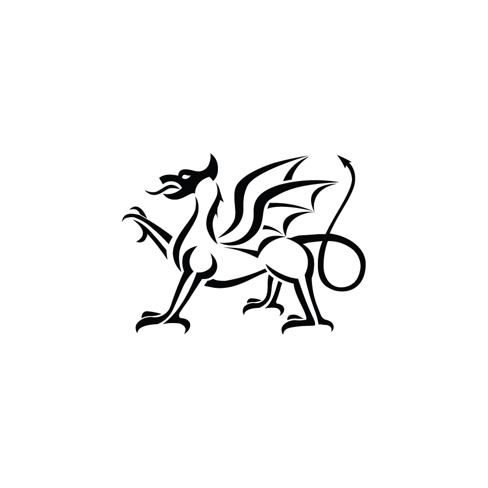 Welsh Gov & local dev synergy