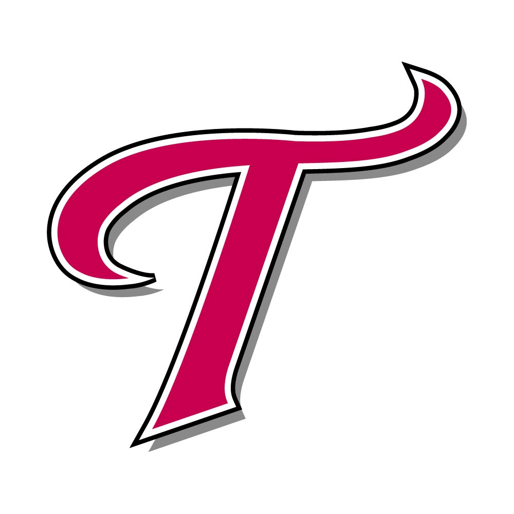 Free High-Quality LG Twins Logo for Creative Design