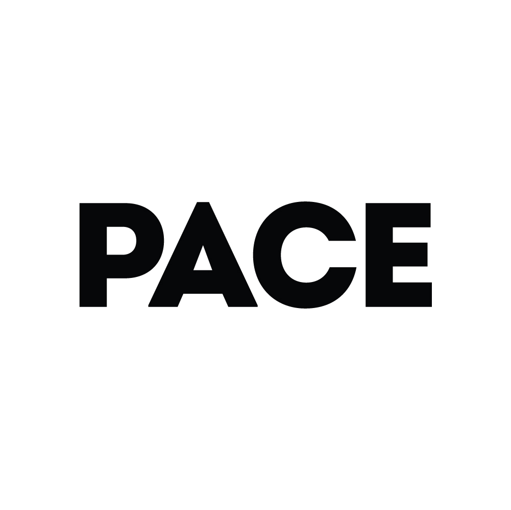 Free High-Quality Pace University Logo Icon for Creative Design