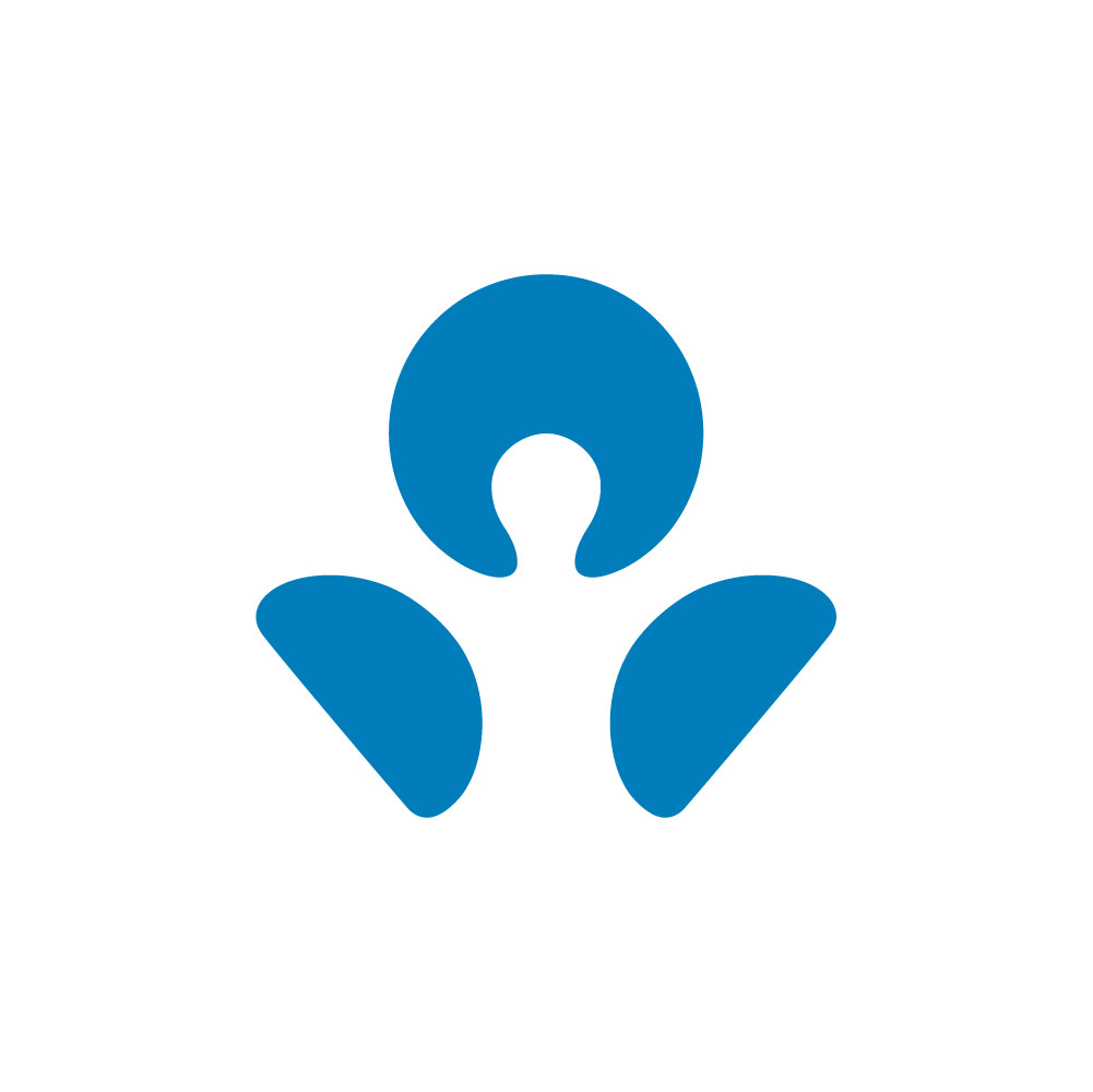 Free High-Quality ANZ Bank Logo Transparent for Creative Design