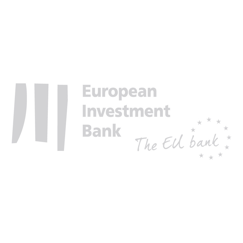 Free HighQuality European Investment Bank Logo Vector for Creative Design