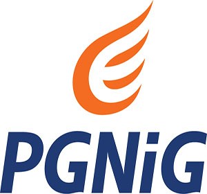 Free High-Quality Pgnig Group Vector Logo for Creative Design