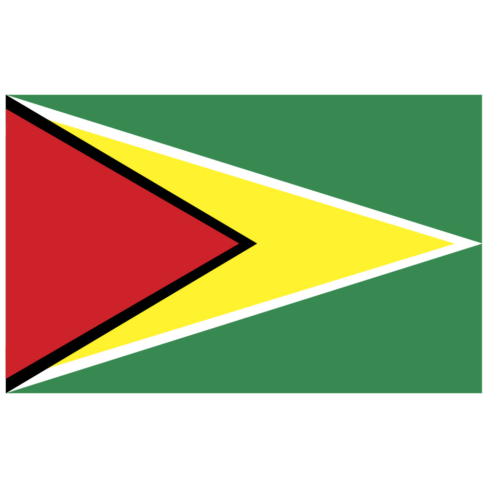 Free High-Quality guyana 50 logo for Creative Design